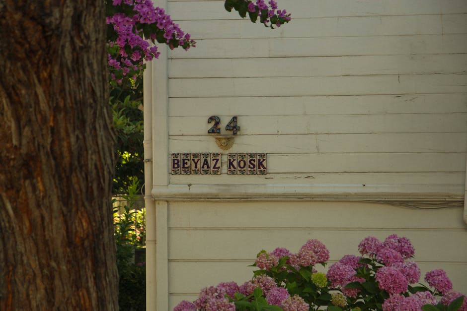 Professional health expert advice